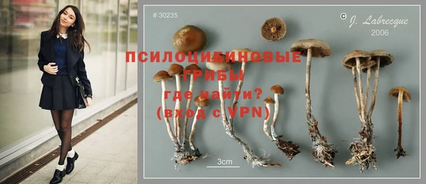 дживик Балахна
