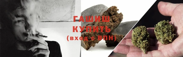 прущие грибы Наволоки