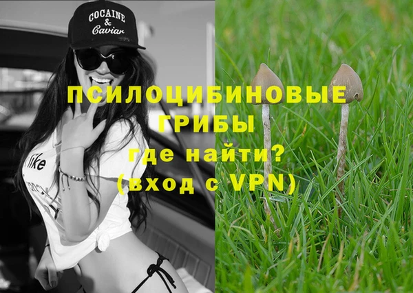 дживик Балахна
