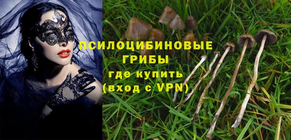 дживик Балахна