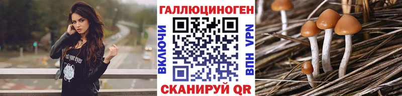 Псилоцибиновые грибы Psilocybine cubensis  Бугуруслан 